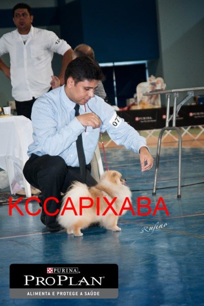 Clique sobre a foto para fechar